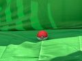 Pokémon Fidget Ball