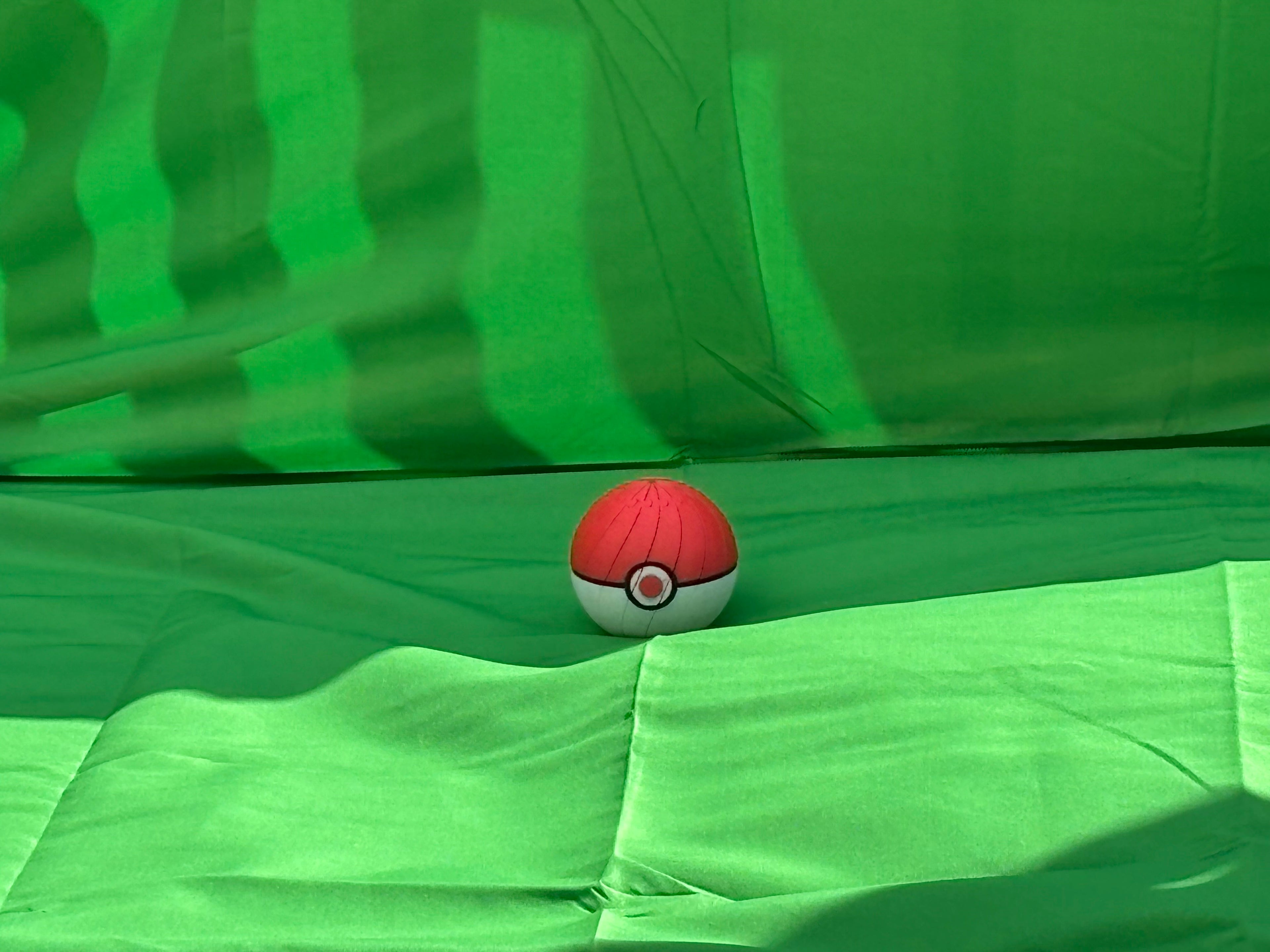 Pokémon Fidget Ball